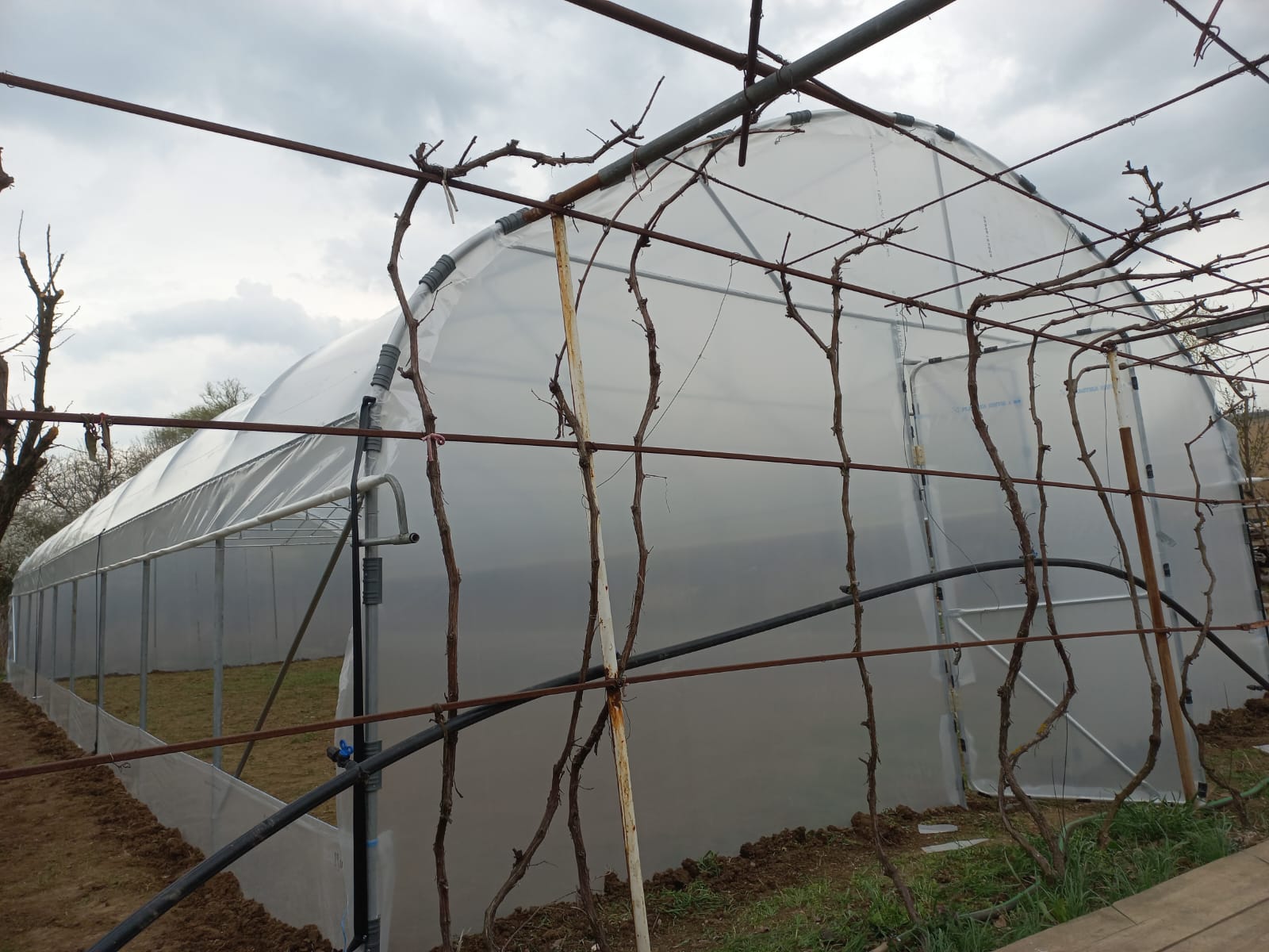 Solar 7m - imagine 5